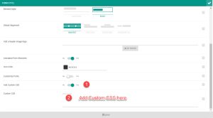 Custom Css