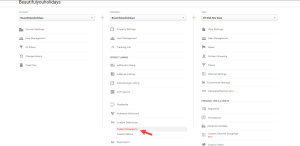 Setup custom dimension