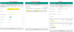 Example Interactive Form